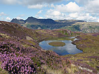 Lingmoor Tarn