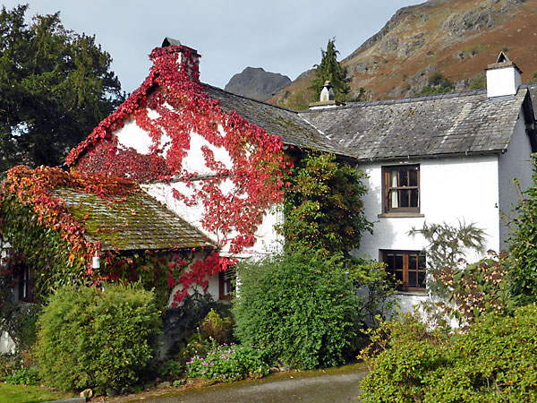 Long House