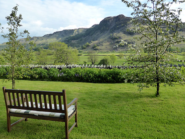 View to Lingmoor Fell from garden