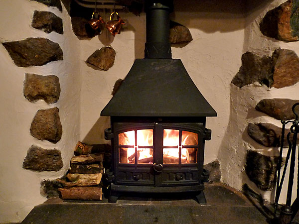 Log burning stove