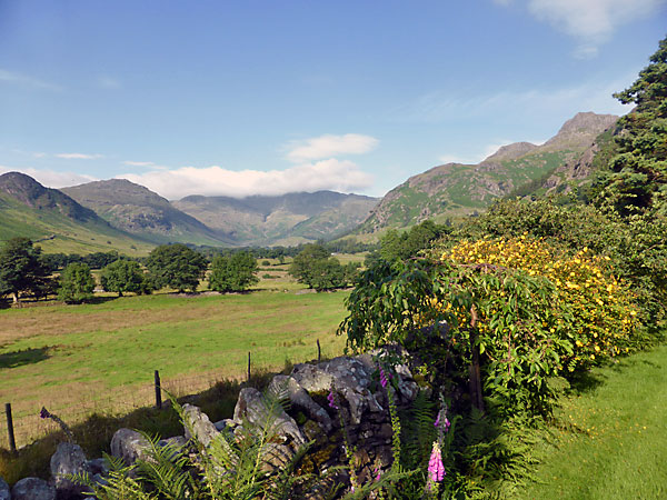 View from garden